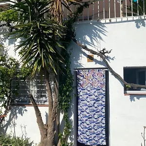 estudio-boho-chic-nuevo-bien-ubicado.catalonia-hotels.com/